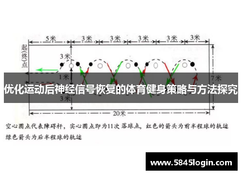 优化运动后神经信号恢复的体育健身策略与方法探究